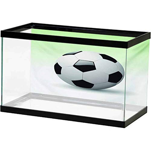 Sports Aquarium Photography Background Vector Image of Football Soccer Ball Artwork with Green Ombre Background Image PVC Adhesive Static Cling Wallpaper Sticker Black and White L30 X H12 Inch