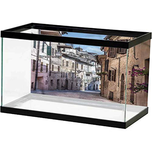 ScottDecor Mediterranean Aquarium Background Italian Town Street Used for Household and Office Aquarium L30 X H18 Inch