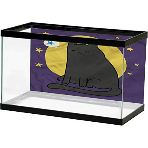 Kitten Seabed World Backdrop Night Full Moon and Stars Decals Poster L30 X H18 Inch