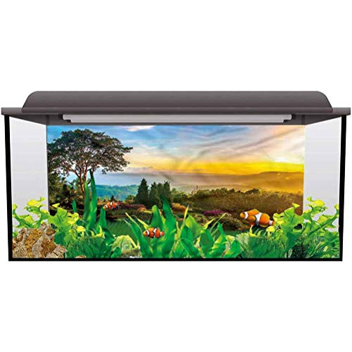 bybyhome Aquarium Background Picture Garden,Colorful Idyllic Nature Photography Background L30 X H18 Inch