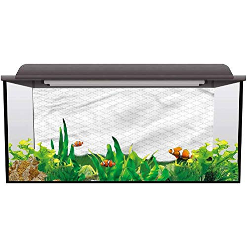 ScottDecor Aquarium Background Grey,Moroccan Traditional Trellis Decals Poster L36 X H16 Inch