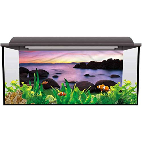 Aquarium Wallpaper Background Lake,Misty Scene Rocks Water Photography Background Undersea Backdrop L36 X H16 Inch