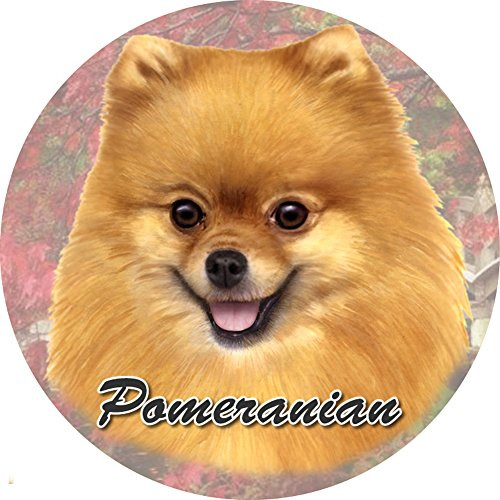 E and S Pets Pomeranian Coaster  3inch  x 3inch