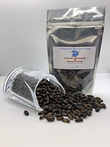 25 Count Bush Bean- Tendergreen inch COOL BEANS N SPROUTSinch  Brand. Home Gardening.