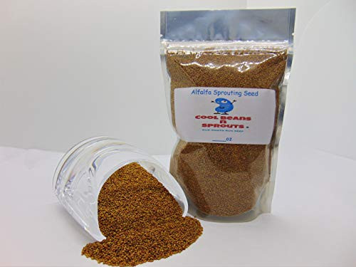 25 Count Alfalfa Seeds  inch COOL BEANS N SPROUTSinch  Brand. Non-GMO. Home Gardening.