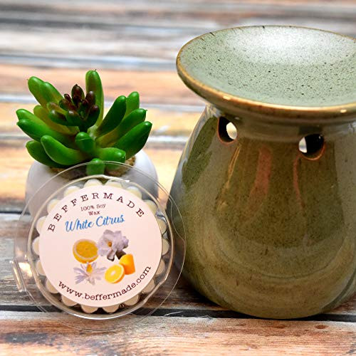 White Citrus Wax Tart  1 oz Soy Wax Tart Melt