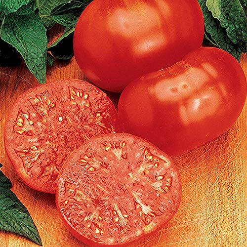 50 Count Red Ponderosa Tomato Seeds inch COOL BEANS N SPROUTSinch  Brand. Heirloom. Non-GMO. Home Gardening.