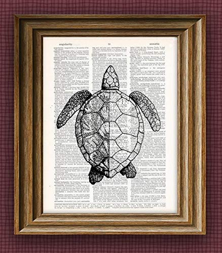Sea Turtle Beautifully Upcycled Vintage Dictionary Page Book Art Print