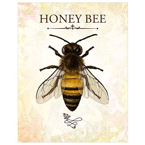 Honey Bee Prints Unframed 8 x 10 Print