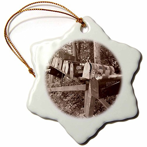 3dRose orn_7813_1 Country Mailboxes-Snowflake Ornament, Porcelain, 3-Inch