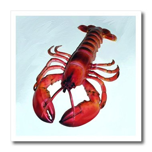 3dRose ht_4480_1 Lobster Iron on Heat Transfer for White Material, 8 by 8-Inch 3dRose ht_4480_1 Lobster Iron on Heat Transfer for White Material, 8 by 8-Inch