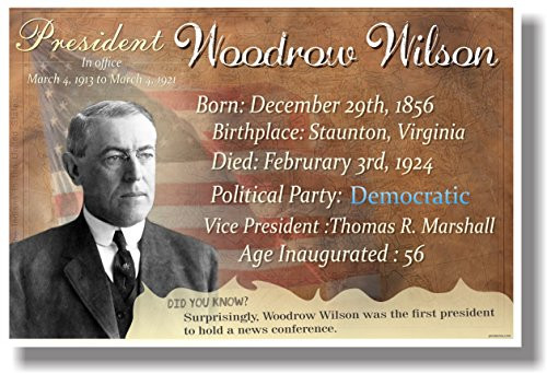 Presidential Series - Woodrow Wilson - NEW Famous U.S. President POSTER