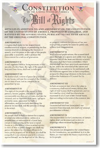 The U.S. Constitution - The Bill of Rights - US History Government Classroom School Poster