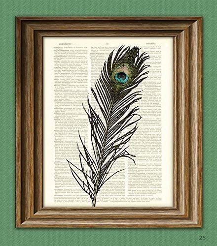 Colorful Peacock Feather Bird Illustration Beautifully Upcycled Dictionary Page Book Art Print