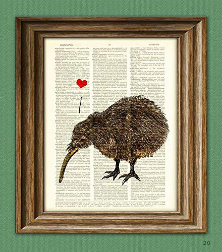 I Love My Kiwi Bird With Heart Print Over a Dictionary Page New Zealand Book Art Print