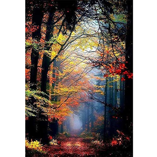 5D DIY Diamond Painting Full Round Drill Cross Stitch Kit Diamond Painting Number Kits Embroidery Art for Adults Forest Path 11.8x15.7 in by Light S Direct