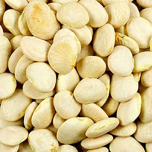 50 Count Lima Bean Seeds- Henderson_s Bush inch COOL BEANS N SPROUTSinch  Brand. Home Gardening.