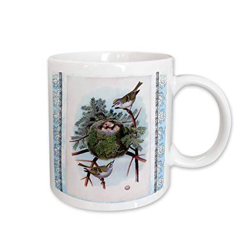 3dRose Pretty Vintage Blue N Brown Birds with Nest on Blue Background Ceramic Mug, 11-Ounce