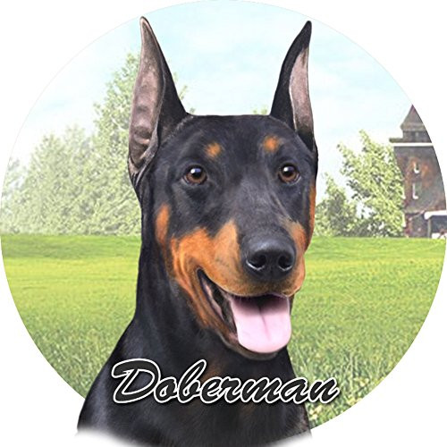 E and S Pets Doberman Coaster  3inch  x 3inch  -231-101-