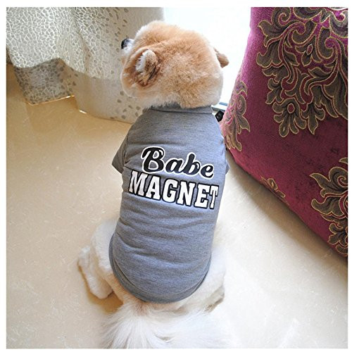 Auwer Big Sale Pet Puppy Spring Summer T Shirt Small Dog Cat Pet Vest Clothes -S Gray- Auwer Big Sale Pet Puppy Spring Summer T Shirt Small Dog Cat Pet Vest Clothes -S Gray-