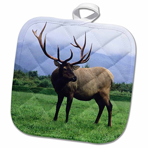 3D Rose Two Elk Bulls Grazing in a Meadow Wildlife Center-Alaska Pot Holder, 8 x 8 3D Rose Two Elk Bulls Grazing in a Meadow Wildlife Center-Alaska Pot Holder, 8 x 8