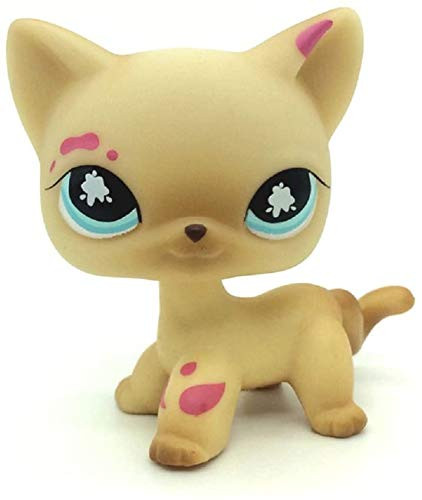 N N Littlest Pet Shop  LPS Toy Messiest Cream Siamese Splash Cat Kitty Blue Eyes