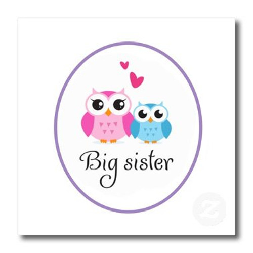3dRose ht_157415_2 I Love My Big Sister Cute Owls Iron on Heat Transfer Paper for White Material, 6 by 6-Inch 3dRose ht_157415_2 I Love My Big Sister Cute Owls Iron on Heat Transfer Paper for White Material, 6 by 6-Inch