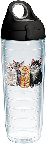 Tervis 1231510 Kittens Tumbler with Emblem and Black with Gray Lid 24oz Water Bottle, Clear