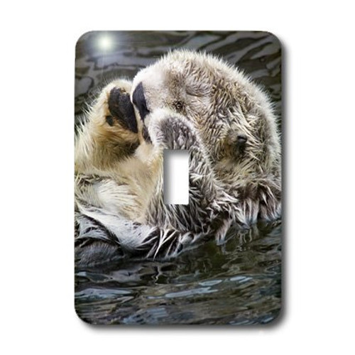 3dRose LSP_45799_1"Sea Otter Sleeping Toggle Switch 3dRose LSP_45799_1"Sea Otter Sleeping Toggle Switch