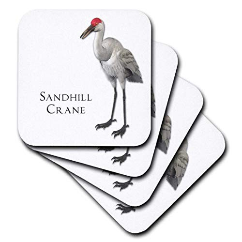 3dRose CST_51595_1 Sandhill Crane Shorebird-Soft Coasters, Set of 4