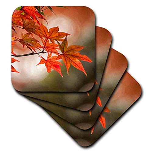 3D Rose Red Japanese Maple Leaves in Fall Soft Coasters, Multicolor
