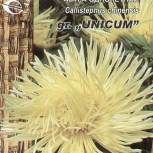 30 YELLOW NEEDLE ASTER Callistephus Unicom Flower SeedsComb S H 30 YELLOW NEEDLE ASTER Callistephus Unicom Flower SeedsComb S H