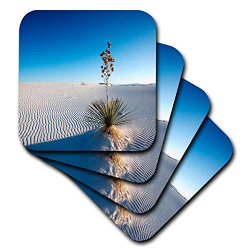 3D Rose Yucca White Sand Dunes National Monument-New Mexico Soft Coasters, Multicolor