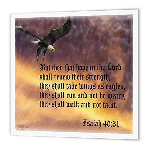 3dRose ht_27419_2 Isaiah 40-31 Bible Verse with Eagle Against a Troubled Sky-Iron on Heat Transfer for White Material, 6 by 6-Inch