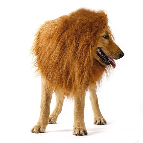 S-Lifeeling Halloween Lion Mane Costume Big Dog Lion Mane Wig Large Lion Wig for Dog Large Pet Halloween Festival Party Fancy Lion Hair Dog Clothes S-Lifeeling Halloween Lion Mane Costume Big Dog Lion Mane Wig Large Lion Wig for Dog Large Pet Halloween Festival Party Fancy Lion Hair Dog Clothes