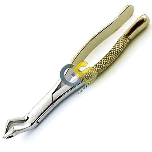 G.S 1 Gold Handle Premium O.R Grade Dental Extraction EXTRACTING Forceps 88R Instruments for Right Upper MOLARS