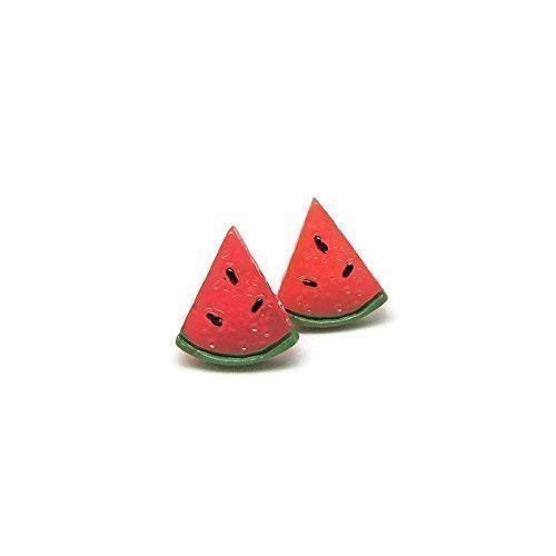 Watermelon Earrings  Hypoallergenic Plastic Post Studs for Metal Sensitive Ears