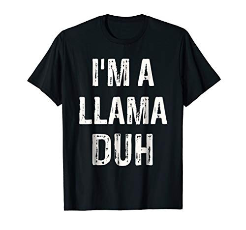 I_m a Llama Duh Halloween Costume T-Shirt