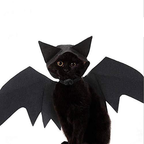 N and A Halloween pet Fun and Funny Dress up cat Little Devil -Hat Style- N and A Halloween pet Fun and Funny Dress up cat Little Devil -Hat Style-