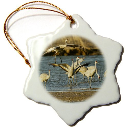 3dRose ORN_144994_1 Sandhill Crane Bird, Platte River, Nebraska, USA Us28 Wsu0012 William Sutton Snowflake Ornament, Porcelain, 3-Inch