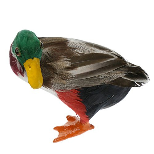 Homyl 4 Types Home Garden Statues Lawn Duck Ornament Animal Sculpture Gifts Vivid Artificial Feather Lifelike Cute Ducks Family Outdoor Decor Children Toys - Mallard Duck S  as described