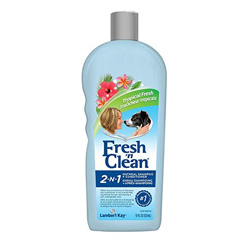 Fresh _n Clean 21602 2-in-1 Oatmeal with Shampoo  Tropical Scent  18 oz