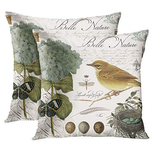 Emvency Set of 2 Throw Pillow Cover Floral Eggs Modern Vintage French Bird and Dragonfly Decorative Pillow Case Home Decor Square 22 x 22 Inch Pillowcase