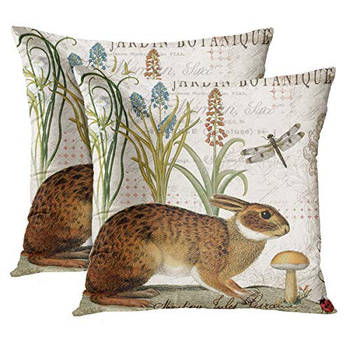 Emvency Set of 2 Throw Pillow Cover Botanical Modern Vintage French Rabbit in Garden Flowers Decorative Pillow Case Home Decor Square 22 x 22 Inch Pillowcase