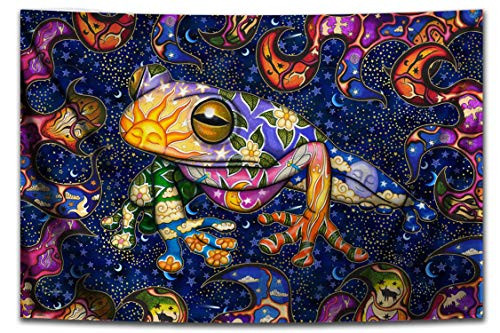 Peace Frog Psychedelic Tapestry Wall Hanging by Dan Morris FREE Dan Morris Sticker Included Peace Frog Psychedelic Tapestry Wall Hanging by Dan Morris FREE Dan Morris Sticker Included