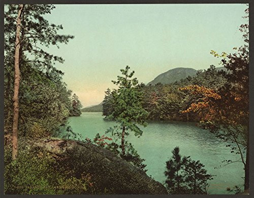 Historic Photos 1904 Photo Paradise Bay  Lake George  N.Y. Location  George  Lake  New York