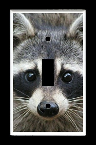Single Toggle -1-toggle- Light Switch Plate Cover - Raccoons - Raccoon Face