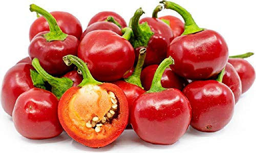 500 Count Red Sweet Cherry Pepper Seeds inch COOL BEANS N SPROUTSinch  Brand. Home Gardening.