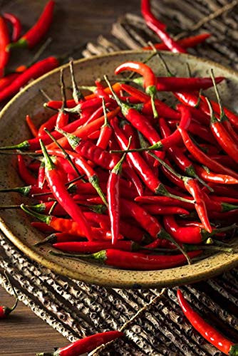 500 Count Thai Pepper Seeds inch COOL BEANS N SPROUTSinch  Brand. Home Gardening.