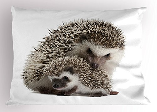 Ambesonne Hedgehog Pillow Sham, Atelerix Albiventris Photography with Mother and Children Love and Family Theme, Decorative Standard Queen Size Printed Pillowcase, 30 X 20 Inches, Brown Ivory Ambesonne Hedgehog Pillow Sham, Atelerix Albiventris Photography with Mother and Children Love and Family Theme, Decorative Standard Queen Size Printed Pillowcase, 30 X 20 Inches, Brown Ivory